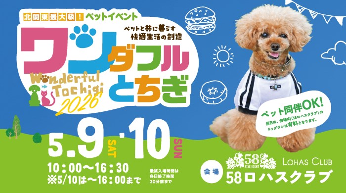 �����ե�Ȥ���