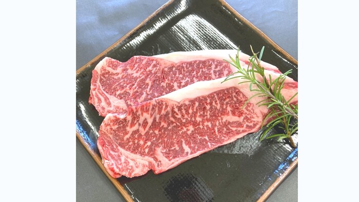 ̥���ޤ����Ȥ��֥� ��ABC�ߡ��� ��������������������פ�̾�ͤ˥ץ쥼��ȡ�