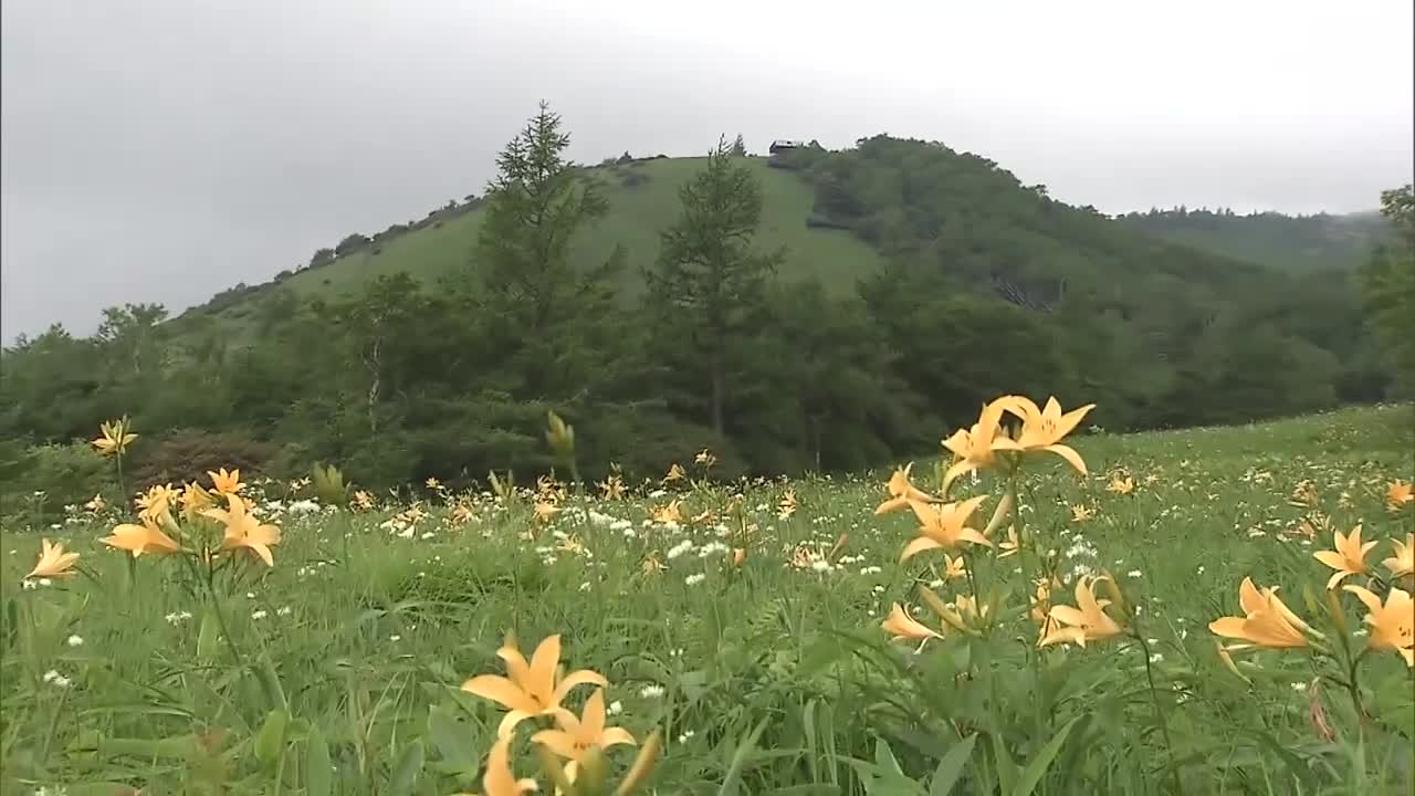 ����1