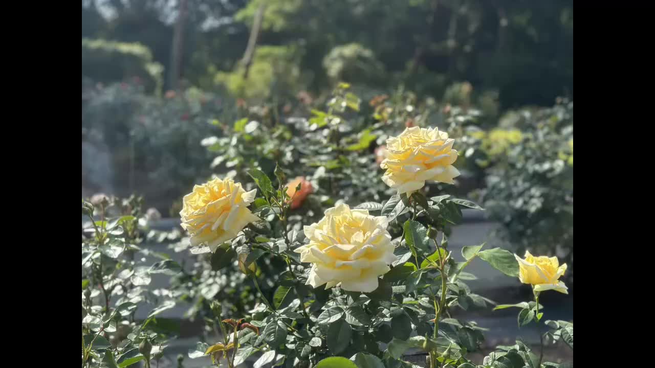 ����1
