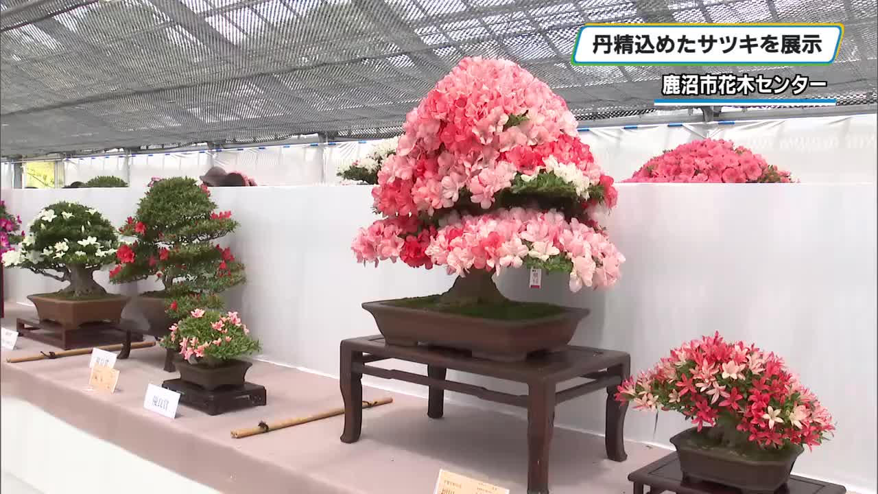 ����1