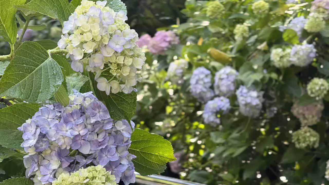 ����1