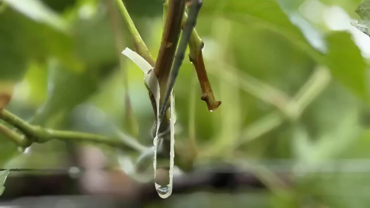 ����1