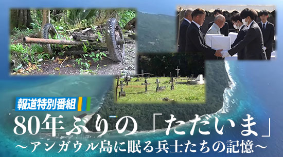 ƻ֡80ǯ֤Ρ֤ޡס󥬥̲ʼΤε