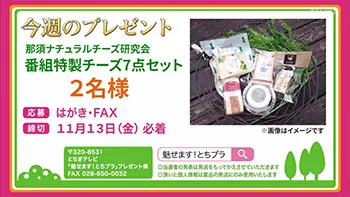 番組特製チーズ7点セット 2名様